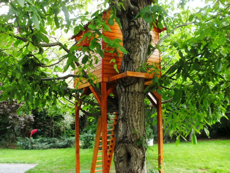 Casuta in copac model Rhea realizat de cei de la Casute Kalman