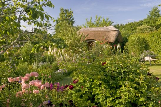 Borduri de Papaver, The Cottage Garden cu Cercis, barbatus digitalis și Dianthus în fața casei de vacanță din grădina RHS Rosemoor din Devon, Marea Britanie